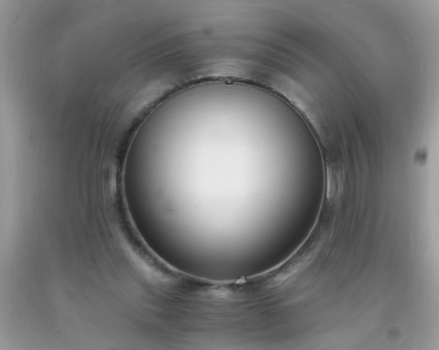 X0000093750253200710231238