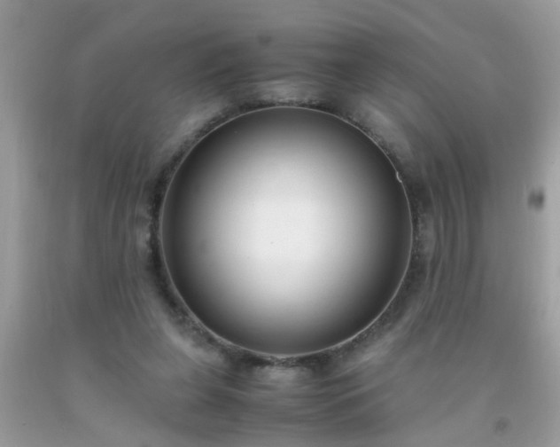 X0000093750255200710231238