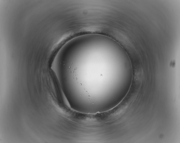 X0000093750256200710231238