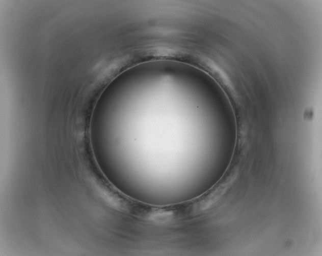 X0000093750257200710231238