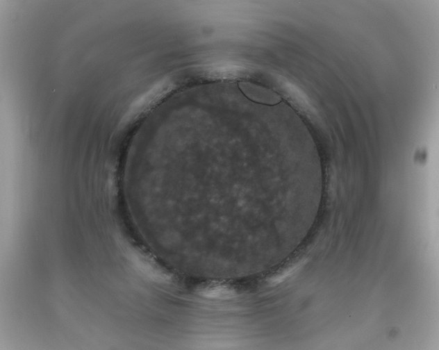 X0000093750258200710231238