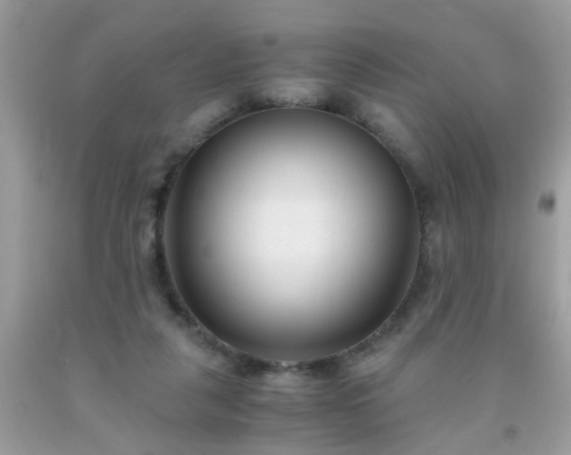 X0000093750259200710231238