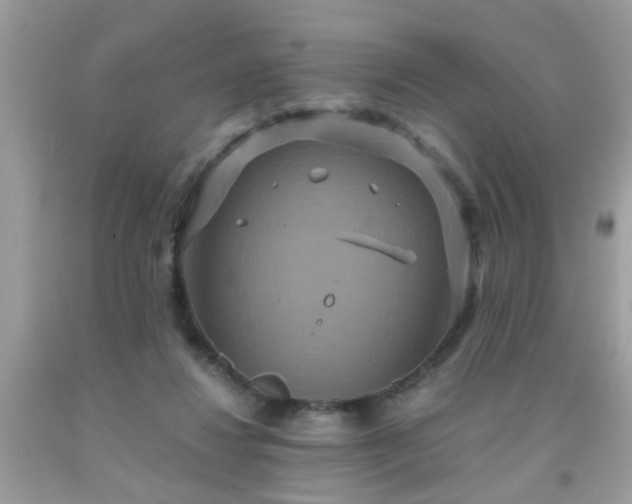X0000093750260200710231238