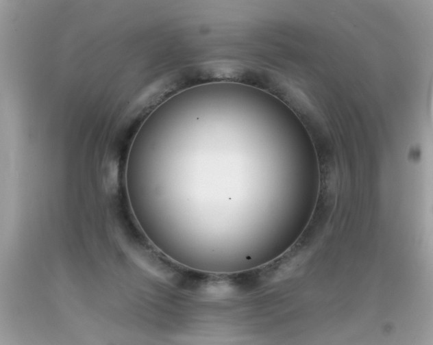 X0000093750262200710231238