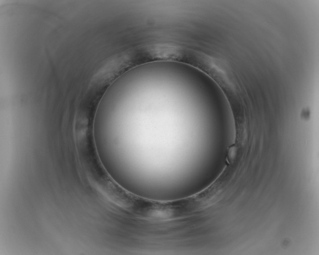 X0000093750263200710231238