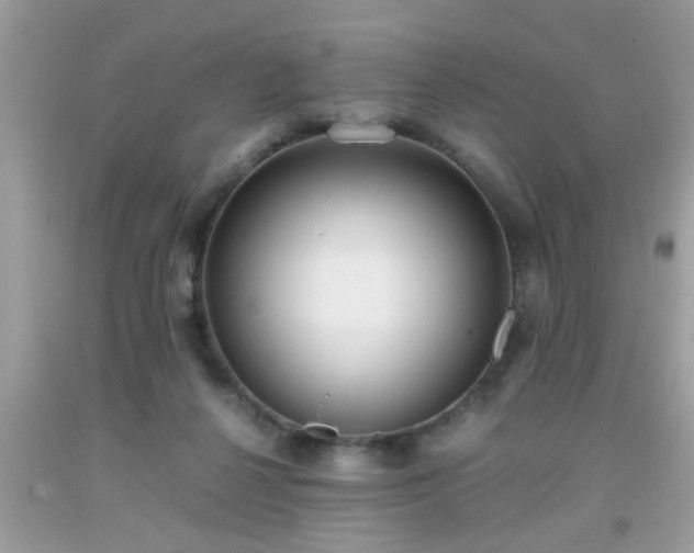 X0000093750264200710231238