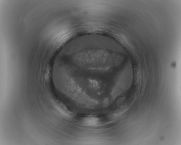 X0000093750266200710231238
