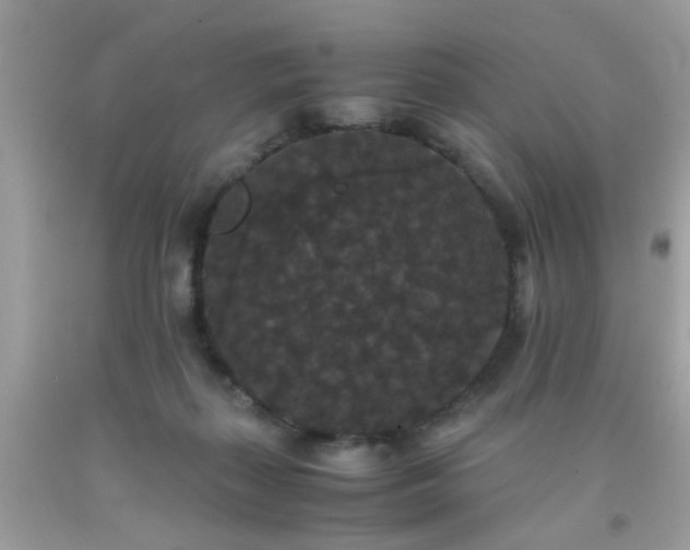 X0000093750267200710231238
