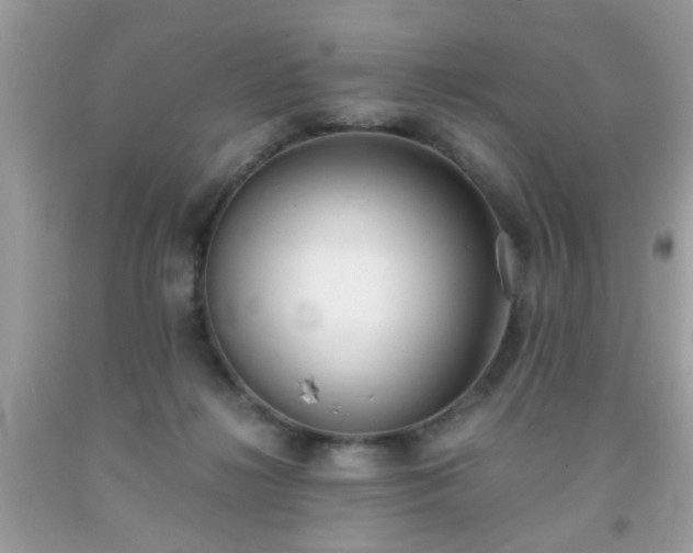 X0000093750268200710231238