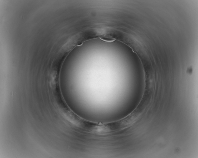 X0000093750275200710231238