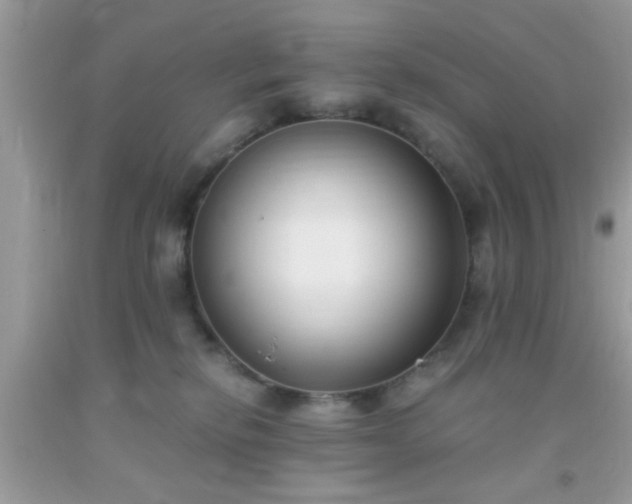 X0000093750278200710231238
