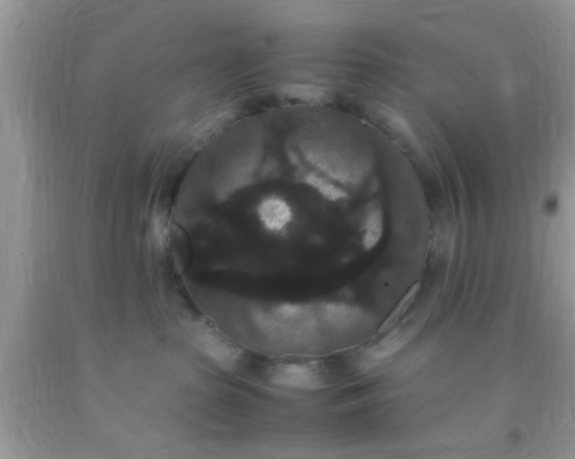 X0000093750285200710231239