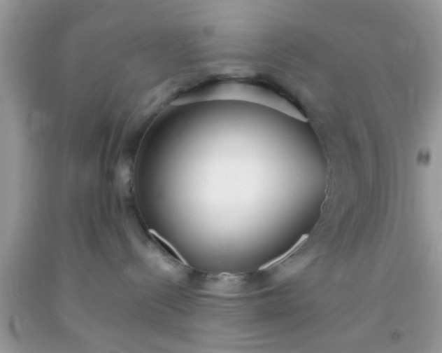 X0000093750288200710231239