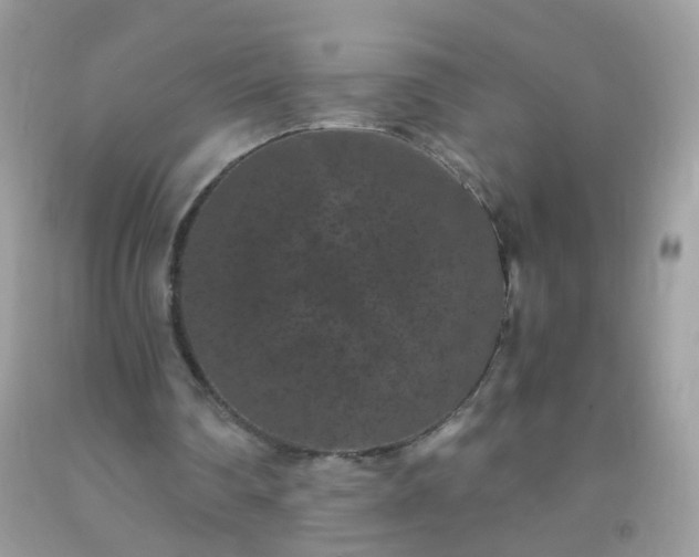 X0000093750290200710231238
