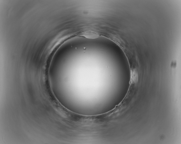 X0000093750291200710231238