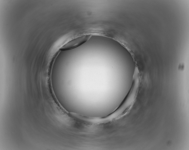 X0000093750293200710231238