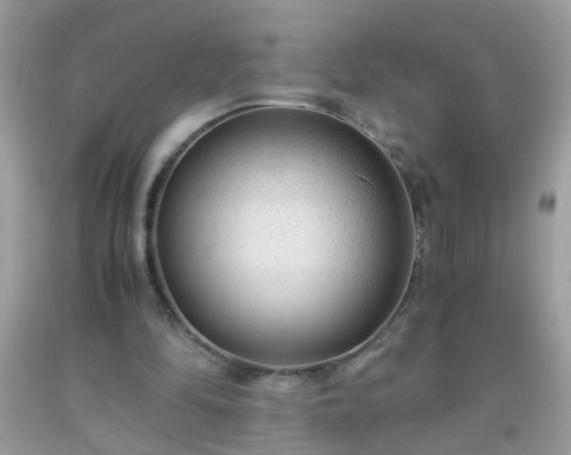 X0000093750294200710231238