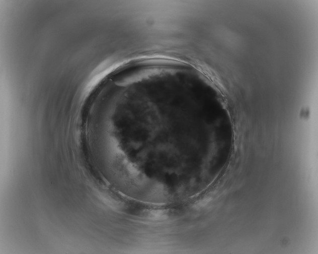 X0000093750295200710231238