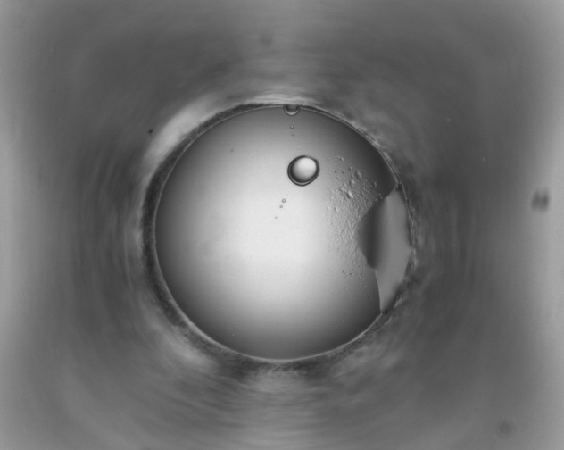 X0000093750296200710231238