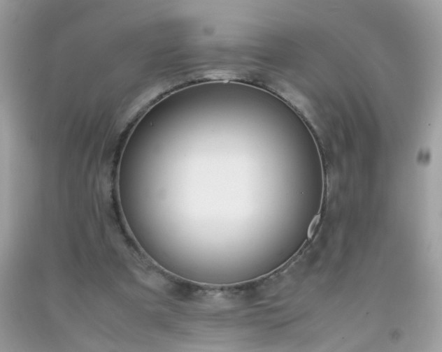 X0000093750297200710231238