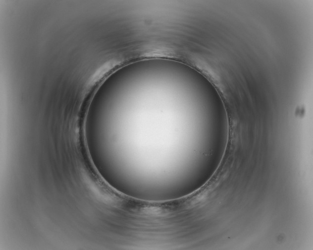 X0000093750298200710231238