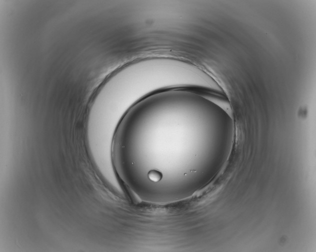 X0000093750301200710231238