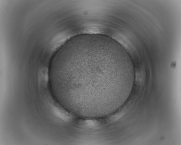 X0000093750302200710231238