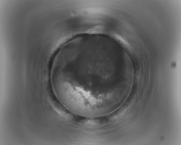 X0000093750303200710231238