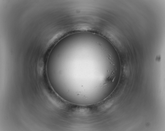 X0000093750304200710231238