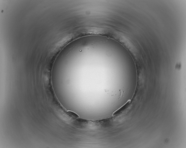 X0000093750305200710231238