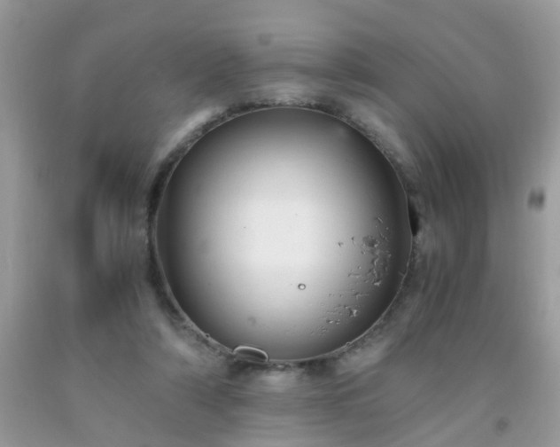 X0000093750306200710231238