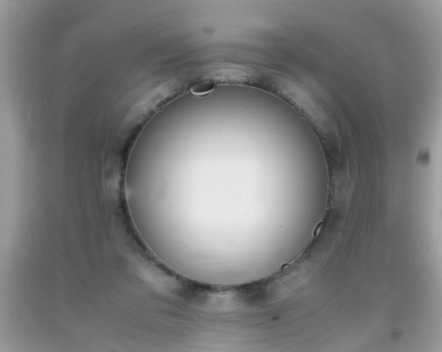 X0000093750309200710231238