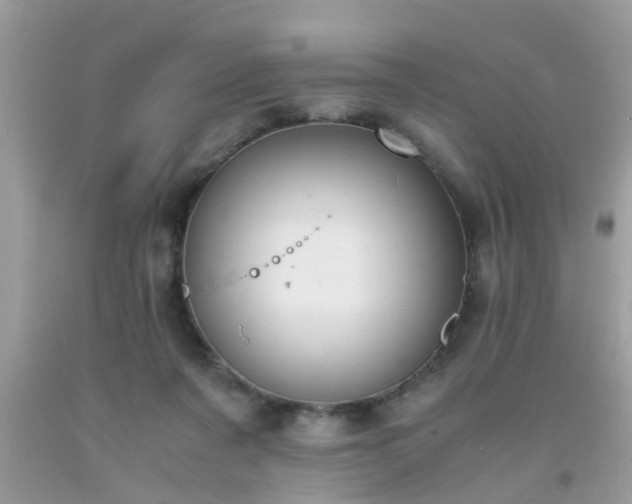 X0000093750311200710231238