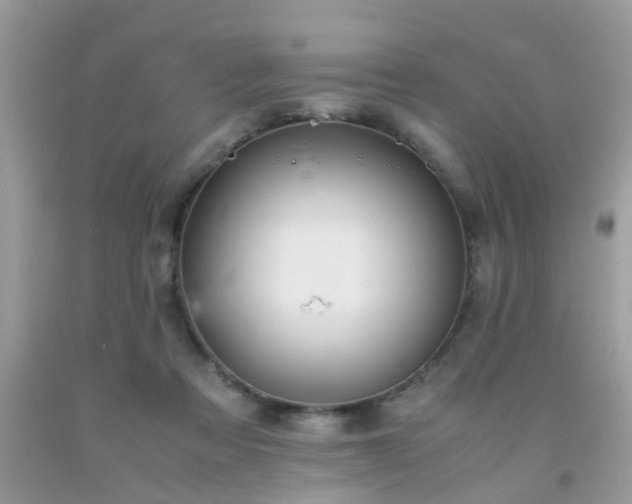 X0000093750313200710231238