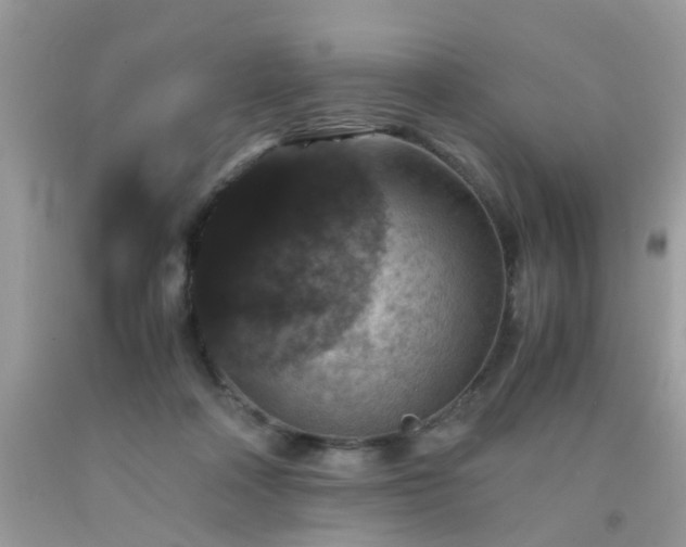 X0000093750314200710231237