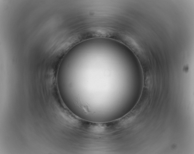 X0000093750318200710231237