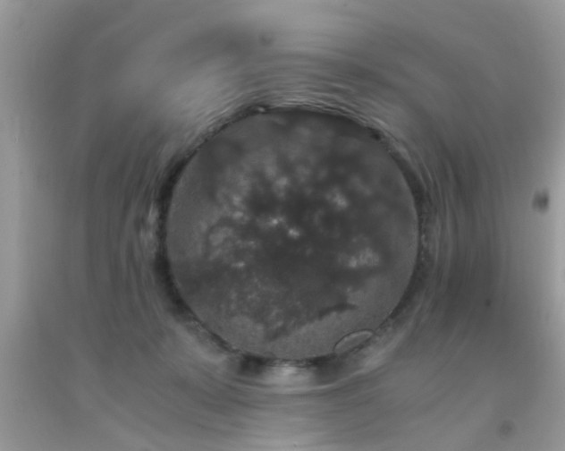 X0000093750319200710231237