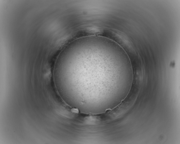 X0000093750320200710231237
