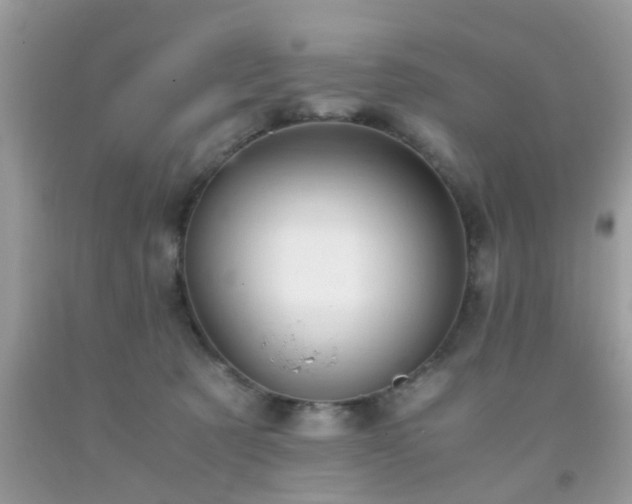 X0000093750321200710231237