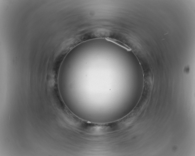 X0000093750323200710231237