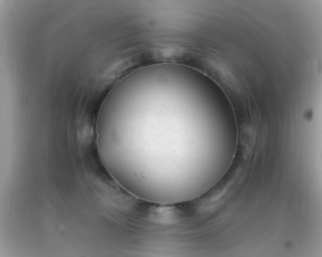X0000093750324200710231237