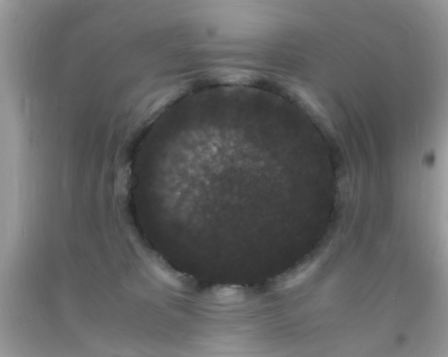 X0000093750325200710231237