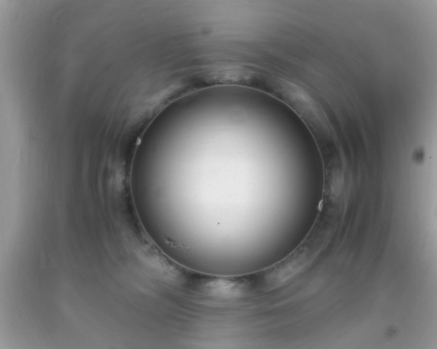 X0000093750326200710231237