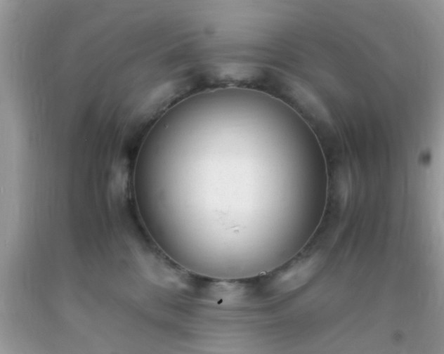 X0000093750328200710231237