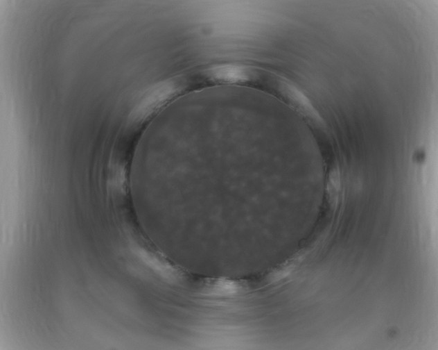 X0000093750330200710231237