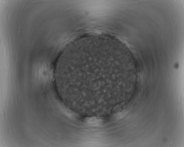 X0000093750331200710231237