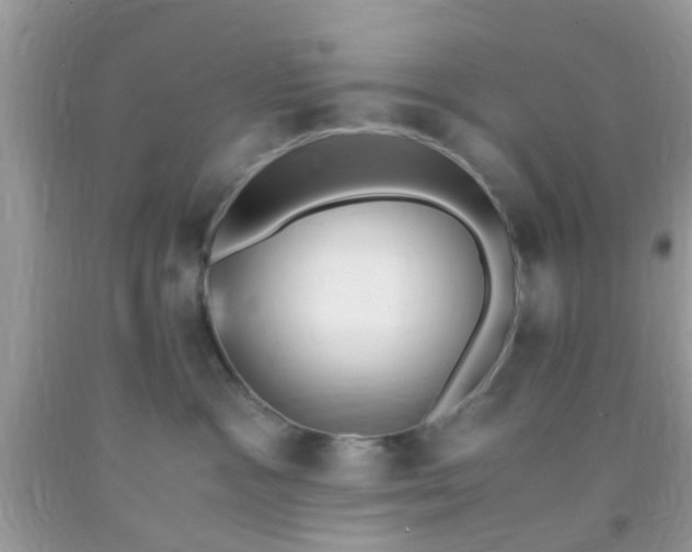 X0000093750333200710231237