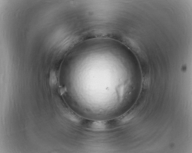 X0000093750335200710231237