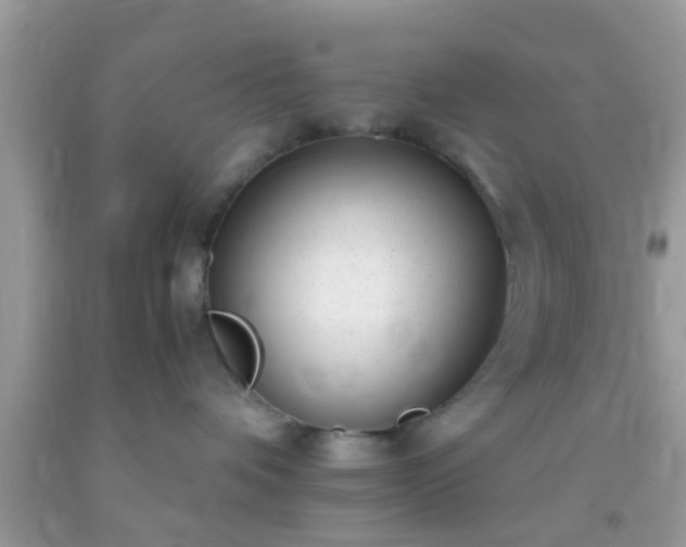 X0000093750336200710231237