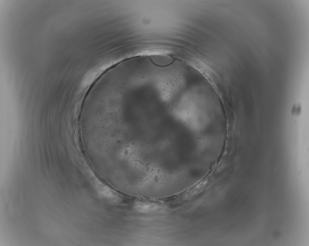 X0000093750337200710231236